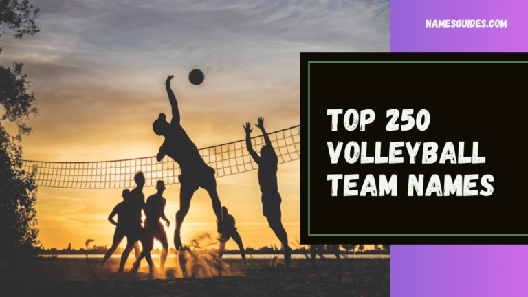 Top 250 Volleyball Team Names